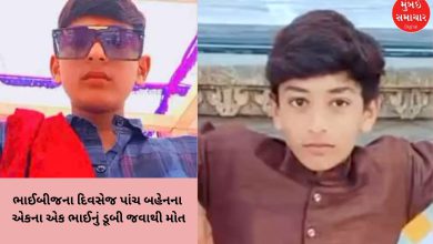 વિધિની વક્રતાઃ ભાઈબીજના દિવસે પાંચ બહેનના ભાઈનું ચેકડેમમાં ડૂબી જવાથી મોત