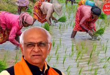 મોસમી વરસાદન માર સહન કરી રહેલા ખેડૂતો માટે ગુજરાત સરકારે રૂ. 10,000 કરોડનું જંગી પેકેજ જાહેર કર્યું છે. ખેડૂતોના ઊભા પાકને થયેલા પારાવાર નુકસાનને ધ્યાનમાં રાખી મુખ્ય