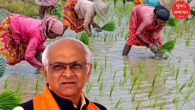 મોસમી વરસાદન માર સહન કરી રહેલા ખેડૂતો માટે ગુજરાત સરકારે રૂ. 10,000 કરોડનું જંગી પેકેજ જાહેર કર્યું છે. ખેડૂતોના ઊભા પાકને થયેલા પારાવાર નુકસાનને ધ્યાનમાં રાખી મુખ્ય