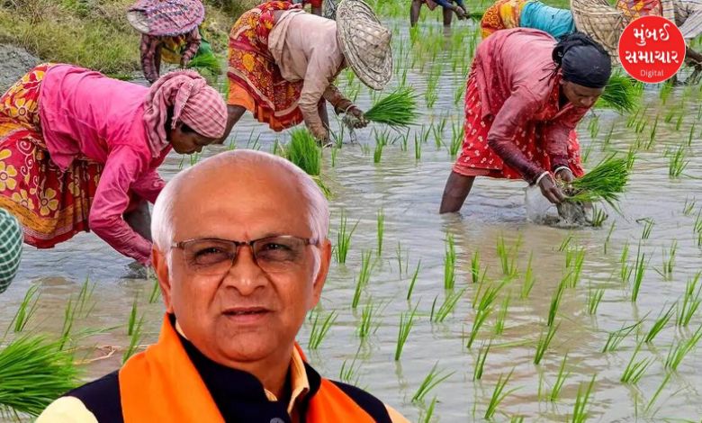 મોસમી વરસાદન માર સહન કરી રહેલા ખેડૂતો માટે ગુજરાત સરકારે રૂ. 10,000 કરોડનું જંગી પેકેજ જાહેર કર્યું છે. ખેડૂતોના ઊભા પાકને થયેલા પારાવાર નુકસાનને ધ્યાનમાં રાખી મુખ્ય