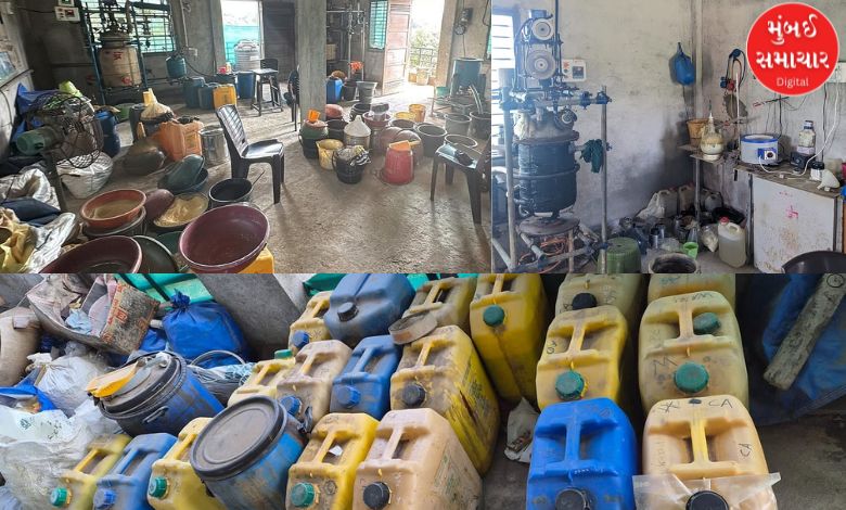 DRI takes major action in Valsad, seizes drugs worth Rs 22 crore