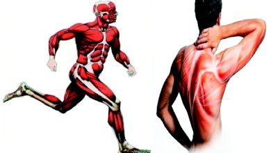 આરોગ્ય એક્સપ્રેસઃ સ્નાયુની ઇજાનો રોગ ‘રેબડોમાયોલિસિસ’ શું છે?