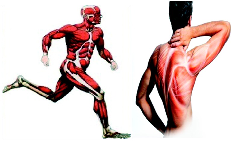 આરોગ્ય એક્સપ્રેસઃ સ્નાયુની ઇજાનો રોગ ‘રેબડોમાયોલિસિસ’ શું છે?