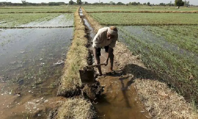 ગુજરાતમાં માવઠું બન્યું 'મોત'નું કારણ: ૩ અઠવાડિયામાં સૌરાષ્ટ્રમાં ૬ ખેડૂતોએ આત્મહત્યા કરી