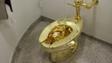 You will be shocked! The world's most expensive 'gold toilet', knowing the price will make the ground move from under your feet...