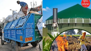 You won't believe it! AMC will make CNG gas from kitchen waste, even non-veg waste will be used as animal feed!