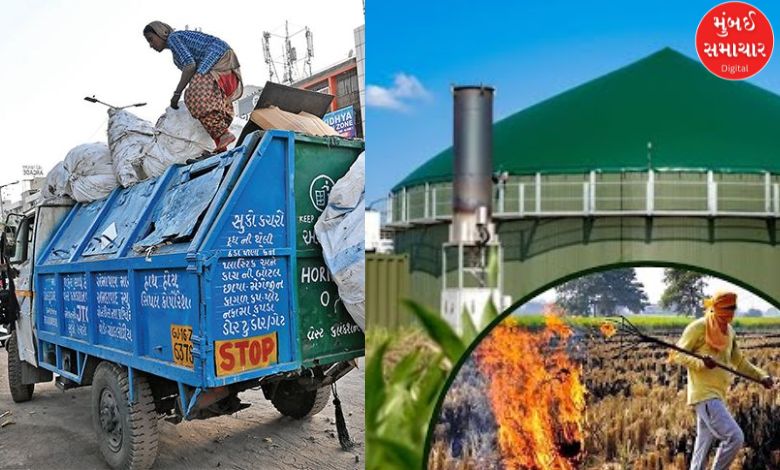 You won't believe it! AMC will make CNG gas from kitchen waste, even non-veg waste will be used as animal feed!