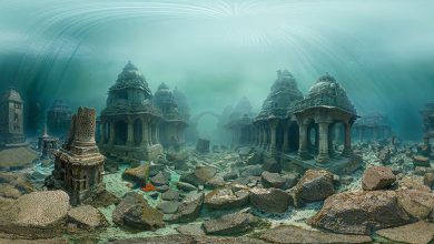 પૌરાણિક દ્વારકાના પુરાવા શોધવા માટે ASIની ટીમ પાણીમાં ઉતરી!