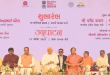 'અમદાવાદ ઇન્ટરનેશનલ બુક ફેસ્ટિવલ' અને 'ફૂડ ફોર થોટ ફેસ્ટ 2025નો શુભારંભ, જાણો શું છે વિશેષતા