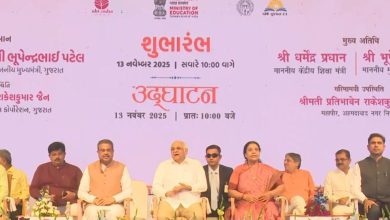 'અમદાવાદ ઇન્ટરનેશનલ બુક ફેસ્ટિવલ' અને 'ફૂડ ફોર થોટ ફેસ્ટ 2025નો શુભારંભ, જાણો શું છે વિશેષતા