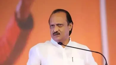 મુંઢવા જમીન સોદા મામલે નાયબ મુખ્ય પ્રધાન અજિત પવારનું રાજીનામું માગતા સામાજિક કાર્યકર્તા અંજલિ દમણિયા