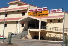 રેલવે ટ્રેક બન્યા સિંહ માટે 'ડેથ ટ્રેક'! અમરેલીના વડીયા નજીક ટ્રેન અડફેટે વધુ એક સિંહબાળનું કરૂણ મોત