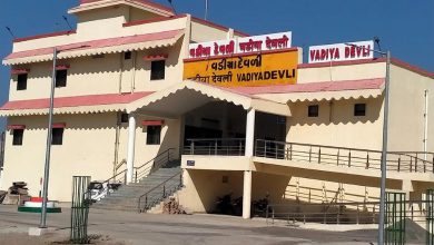 રેલવે ટ્રેક બન્યા સિંહ માટે 'ડેથ ટ્રેક'! અમરેલીના વડીયા નજીક ટ્રેન અડફેટે વધુ એક સિંહબાળનું કરૂણ મોત