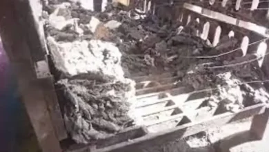 સ્મશાનમાંથી ગુમ થયેલી રાખ અને હાડકાં અંગે નાગપુર પોલીસ તપાસ કરી રહી છે.