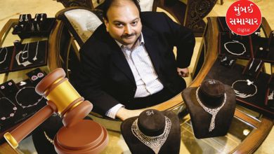 ફ્લેટ, હીરા બોર્સમાં પાર્કિંગ, ફેક્ટરીઓ...: મેહુલ ચોક્સીની 13 સંપત્તિઓની હરાજીની પ્રક્રિયા શરૂ