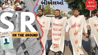 Outrage as 25 BLOs die in three weeks in seven states including Gujarat