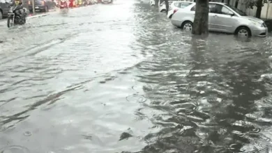 ભાવનગરમાં રેકોર્ડબ્રેક વરસાદના પાણીથી ભરાયેલો રસ્તો અને ઉભા પાકને નુકસાન થવાનો દ્રશ્ય.