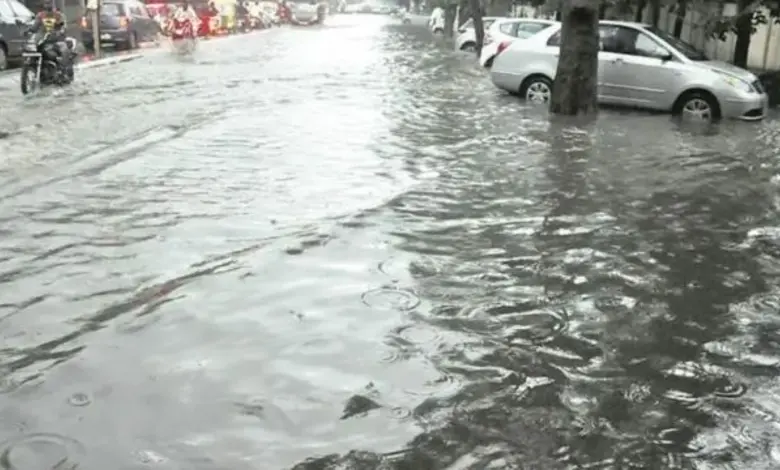 ભાવનગરમાં રેકોર્ડબ્રેક વરસાદના પાણીથી ભરાયેલો રસ્તો અને ઉભા પાકને નુકસાન થવાનો દ્રશ્ય.