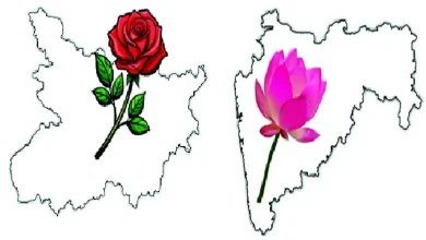 લેખક શોભિત દેસાઈનો બિહારના રાજકારણ, મહારાષ્ટ્રમાં સરકારી જમીનના વ્યવહાર અને દેશની સ્થિતિ પરનો વિચારપ્રેરક લેખ.