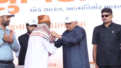 જૂનાગઢ મુક્તિ દિવસે CM પટેલે 'યુનિટી માર્ચ' શરૂ કરી, આરઝી હકૂમતના સેનાનીઓના પરિવારજનોનું સન્માન