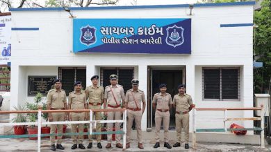 Out of the 8 crores that people in Amreli lost in cyber fraud in 11 months, how much did the police return?