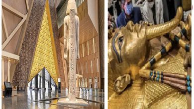 Close-up: The unique world of strange museums