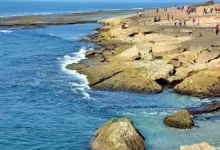 ગુજરાત સરકારના સાગરકાંઠા વિસ્તાર પરિભ્રમણ કાર્યક્રમ હેઠળ નવસારી, જામનગર અને ગીર-સોમનાથના દરિયાકિનારાના સફર માટેના યુવાનોનું જૂથ