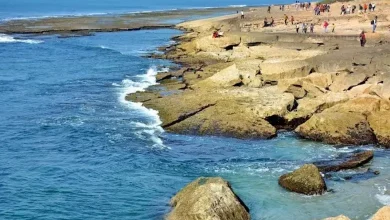 ગુજરાત સરકારના સાગરકાંઠા વિસ્તાર પરિભ્રમણ કાર્યક્રમ હેઠળ નવસારી, જામનગર અને ગીર-સોમનાથના દરિયાકિનારાના સફર માટેના યુવાનોનું જૂથ