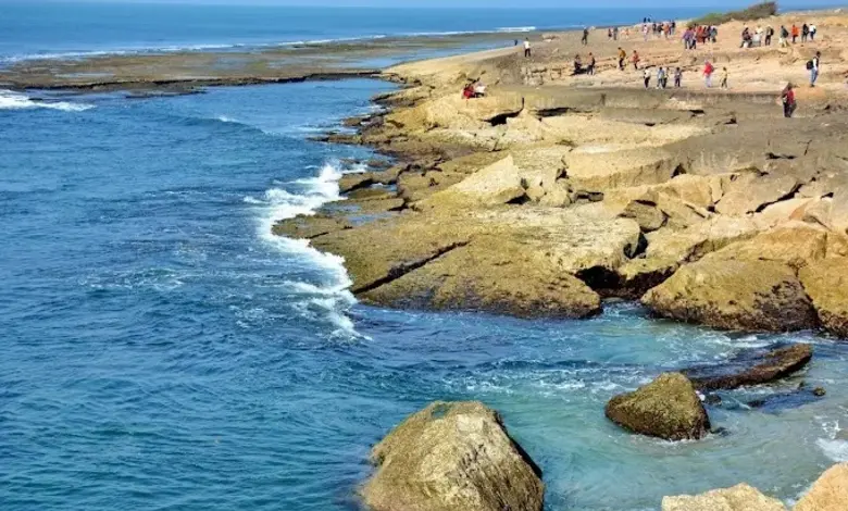 ગુજરાત સરકારના સાગરકાંઠા વિસ્તાર પરિભ્રમણ કાર્યક્રમ હેઠળ નવસારી, જામનગર અને ગીર-સોમનાથના દરિયાકિનારાના સફર માટેના યુવાનોનું જૂથ