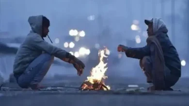 ગુજરાતમાં શિયાળાની ઠંડીનું દ્રશ્ય, દાહોદમાં ૯.૯ ડિગ્રી લઘુત્તમ તાપમાન