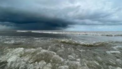 બંગાળની ખાડીની હલચલથી હવામાન બદલાશે? ક્યાંક કોલ્ડ વેવ તો ક્યાંક વરસાદની આગાહી