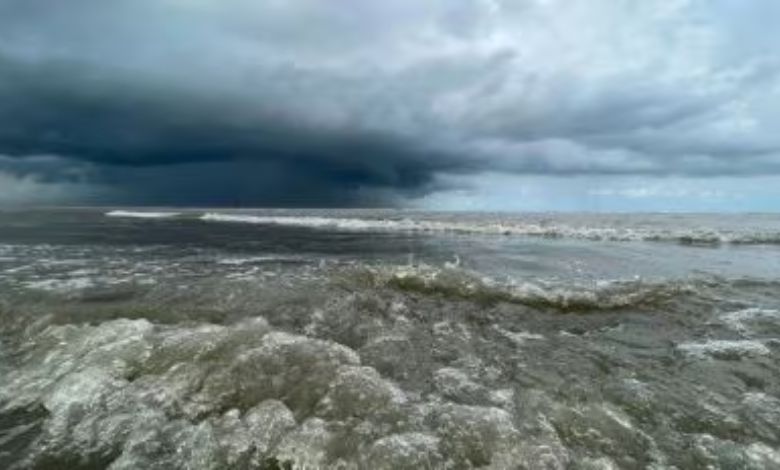 બંગાળની ખાડીની હલચલથી હવામાન બદલાશે? ક્યાંક કોલ્ડ વેવ તો ક્યાંક વરસાદની આગાહી