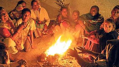 સૌરાષ્ટ્ર અને ઉત્તર ગુજરાતમાં ઠંડીનું જોર વધ્યું: 14 ડિગ્રી તાપમાન સાથે ગાંધીનગર સૌથી ઠંડુ,