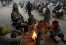 કચ્છમાં હિલ સ્ટેશન જેવો માહોલઃ નલિયા, ભુજમાં ૨૨ ડિગ્રી આસપાસ લઘુતમ તાપમાન