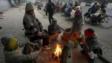 કચ્છમાં હિલ સ્ટેશન જેવો માહોલઃ નલિયા, ભુજમાં ૨૨ ડિગ્રી આસપાસ લઘુતમ તાપમાન