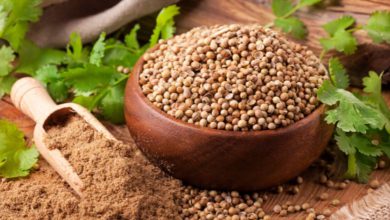 ધાણાના બીજ કે પાવડર: કોલેસ્ટ્રોલને કંટ્રોલ કરવા માટે કોણ વધુ ફાયદાકારક?
