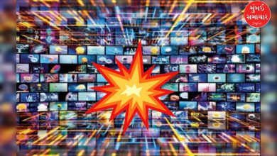 10 નવેમ્બરના રોજ દિલ્હીના લાલ કિલ્લા મેટ્રો સ્ટેશન પાસે થયેલા બોમ્બ બ્લાસ્ટ અને ફરીદાબાદમાં પકડાયેલા ખતરનાક ટેરર મોડયુલ હાલ ભારતીય