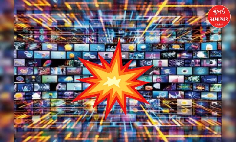 10 નવેમ્બરના રોજ દિલ્હીના લાલ કિલ્લા મેટ્રો સ્ટેશન પાસે થયેલા બોમ્બ બ્લાસ્ટ અને ફરીદાબાદમાં પકડાયેલા ખતરનાક ટેરર મોડયુલ હાલ ભારતીય