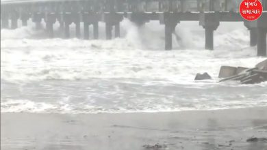 તમિલનાડુ પર 'દિત્વા'નું સંકટ: સંભવિત ખતરાને પગલે તંત્ર સજ્જ, હાઈ એલર્ટ કર્યું જાહેર