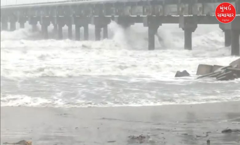 તમિલનાડુ પર 'દિત્વા'નું સંકટ: સંભવિત ખતરાને પગલે તંત્ર સજ્જ, હાઈ એલર્ટ કર્યું જાહેર