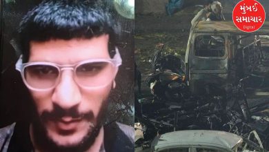 દિલ્હી બ્લાસ્ટ કેસઃ વિસ્ફોટવાળી કારમાં આતંકી 'ઉમર' જ હતો, DNA રિપોર્ટ દ્વારા ઓળખ થઈ સ્થાપિત