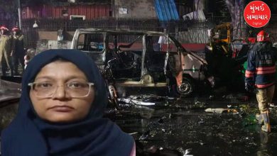 કેન્દ્રીય અને સ્થાનિક એજન્સીઓએ જમ્મુ કાશ્મીર, ઉત્તર પ્રદેશ અને હરિયાણામાં ફેલાયેલા એક મોટા આતંકવાદી નેટવર્કનો પર્દાફાશ કર્યો છે. જેમાં ધરપકડ કરાયેલી ડોકટર શાહીન