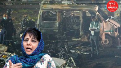 દિલ્હી વિસ્ફોટ અંગે પીડીપી પ્રમુખ મહેબુબા મુફ્તીએ આપેલા નિવેદનની ભાજપે આકરી ટીકા કરી છે. મહેબુબા મુફ્તીએ વિસ્ફોટ બાદ જણાવ્યું હતું કે દિલ્હીના લાલ કિલ્લા પાસે થયેલો