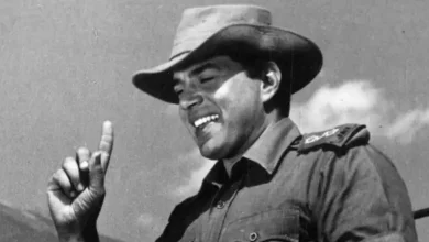 બોલીવૂડ એક્ટર ધર્મેન્દ્રએ 89 વર્ષે આપણી વચ્ચે સદેહે વિદાય લીધી પરંતુ પોતાની આગવી એક્ટિંગ સ્કિલથી ફેન્સના દિલોમાં દિમાગમાં તો હંમેશા જીવંત રહેશે. પોતાના લાંબા ફિલ્મી કરિયરમાં