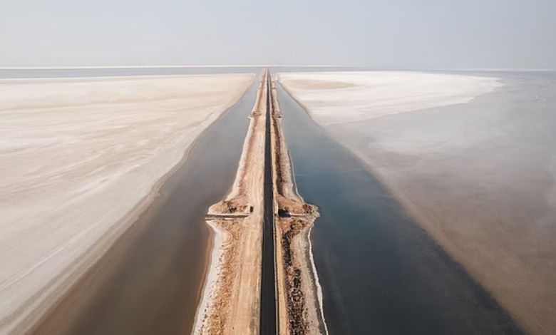 ધોરડોના શ્વેત રણ અને રોડ ટુ હેવન આસપાસના પ્રાકૃતિક વિસ્તારને 'નો સ્પિટિંગ ઝોન' જાહેર કરાયો