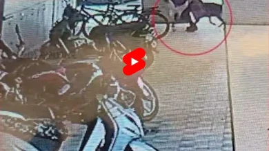 અમદાવાદમાં પાળતું શ્વાને બે બાળકને કરડી ખાધાઃ જુઓ વીડિયો