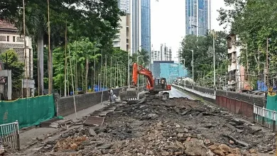 એલ્ફિન્સ્ટન બ્રિજનું ડિમોલિશન, પરેલ સ્ટેશન પર લાંબો મેગા બ્લોક અને રેલવે OHE કેબલ ખસેડવાની કામગીરી