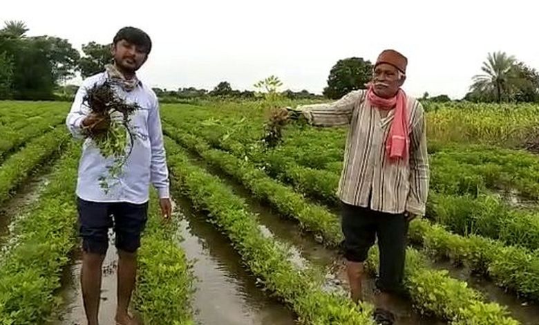 ખેડૂત સહાય પેકેજઃ જાણો રાજ્યમાં કેટલા લોકોએ અરજી કરી?