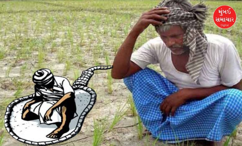 ગુજરાતમાં સતત કમોસમી વરસાદને લીધે ખેતરો નદીમા ફેરવાઈ ગયા છે. મગફળી સહિત મોટાભાગના પાકને ભારે નુકસાન થયું છે. સિઝનનમાં પૂરતો વરસાદ