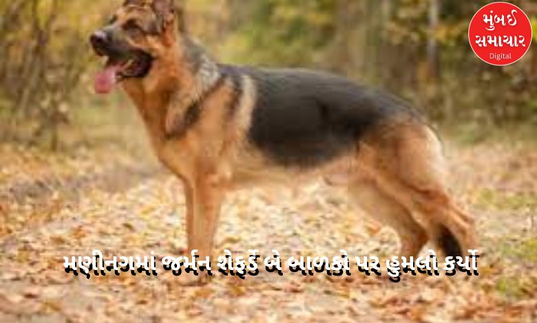 Ahmedabad: German Shepherd attacks two children in New Manning, know the details